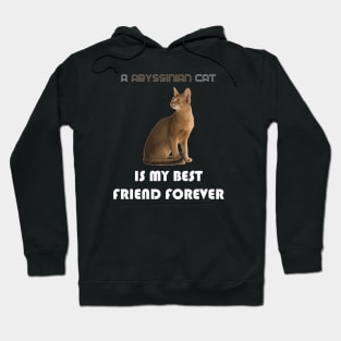 A Abyssinian Cat is My Best Friend Forever Hoodie